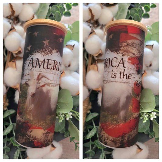 17oz Frosted Tumbler- "America is the G.O.A.T."
